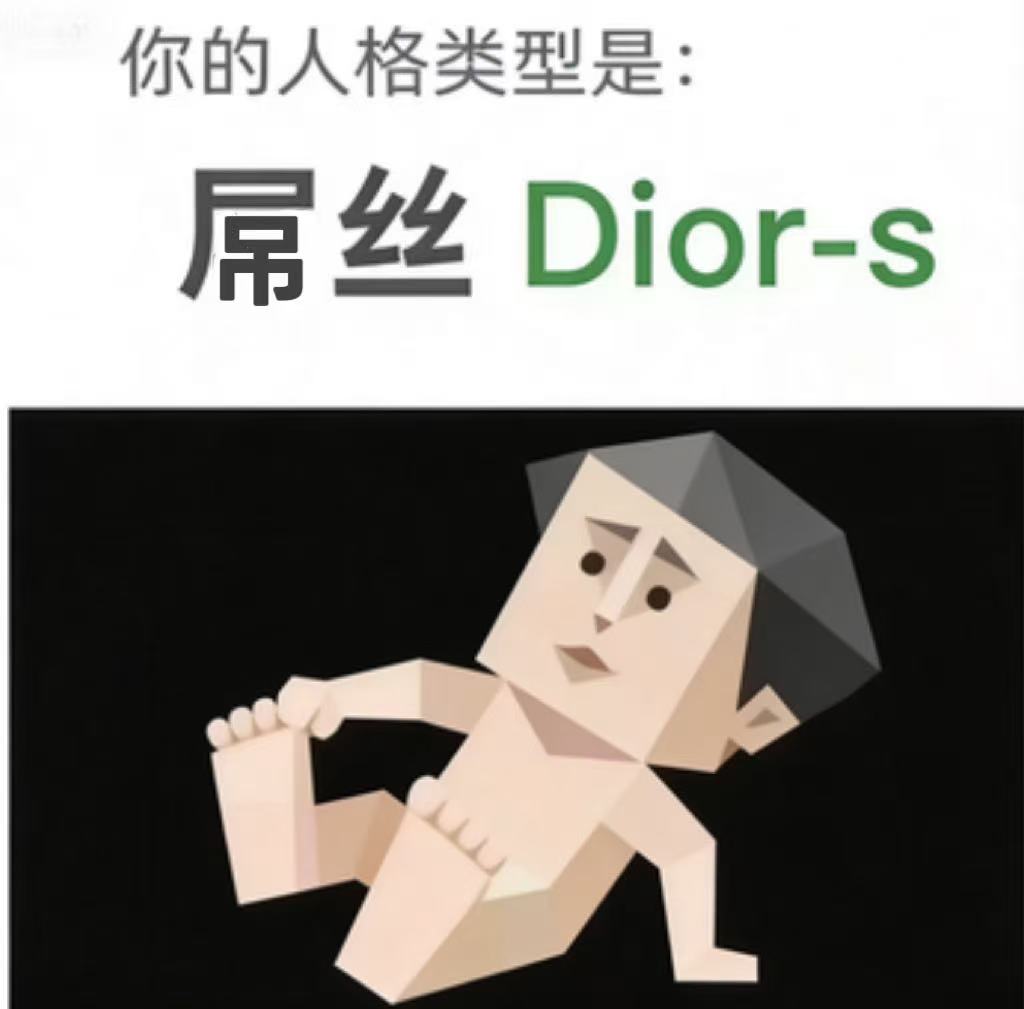 Dior-s 人格类型插图,屌丝