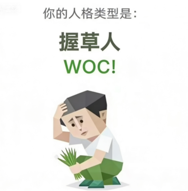 WOC! 人格类型插图,握草人